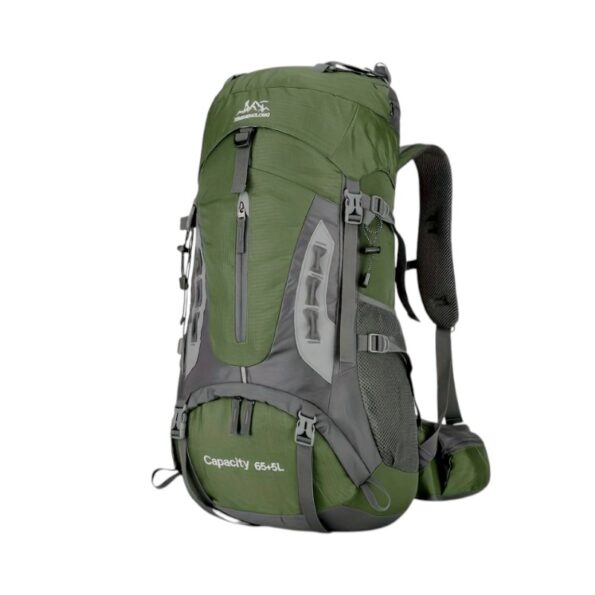 251586-3