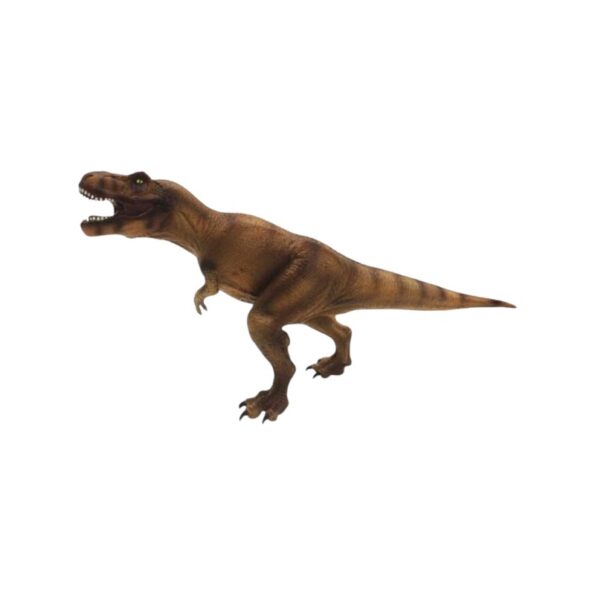 232674